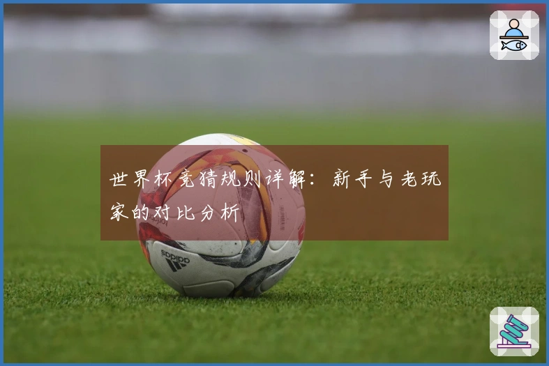 世界杯竞猜规则详解：新手与老玩家的对比分析