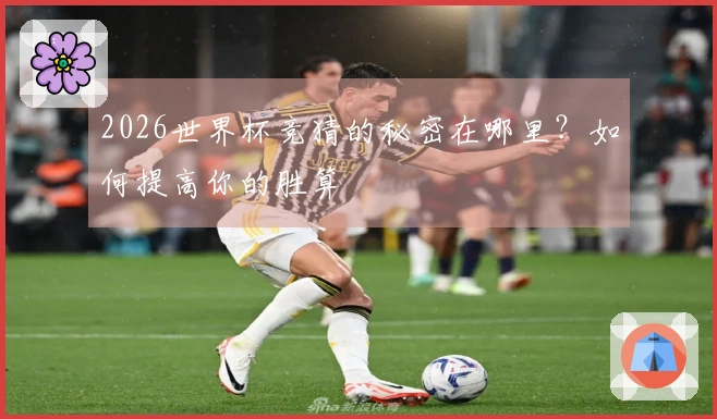 2026世界杯竞猜的秘密在哪里？如何提高你的胜算