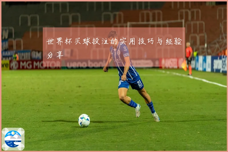 世界杯买球投注的实用技巧与经验分享