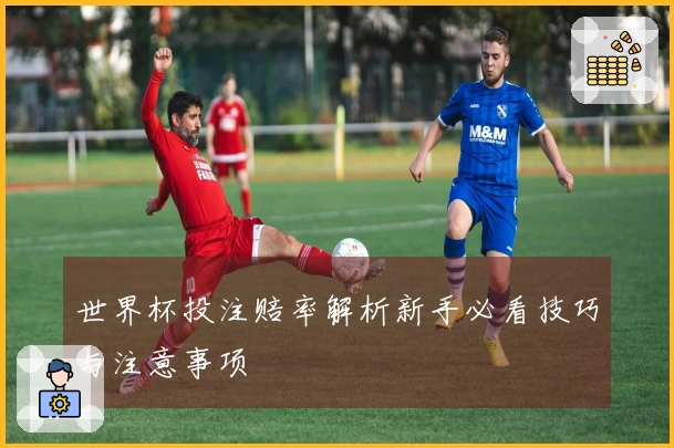 世界杯投注赔率解析新手必看技巧与注意事项