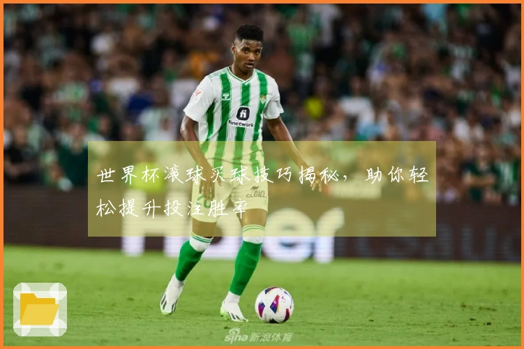 世界杯滚球买球技巧揭秘，助你轻松提升投注胜率