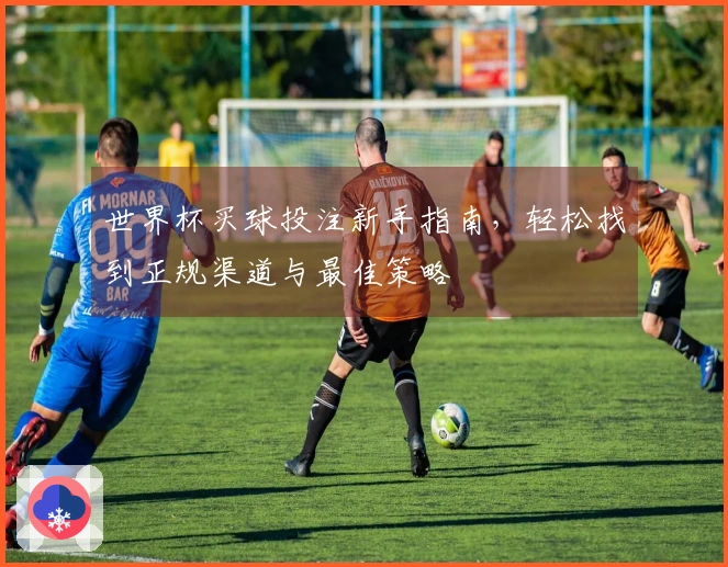 世界杯买球投注新手指南，轻松找到正规渠道与最佳策略