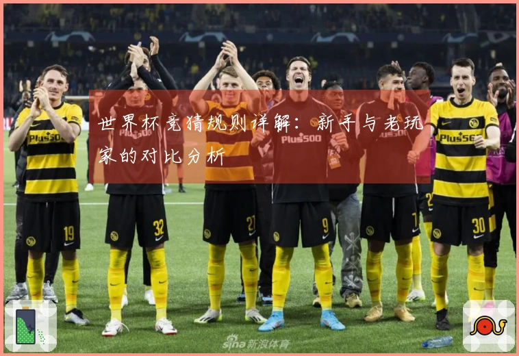 世界杯竞猜规则详解：新手与老玩家的对比分析